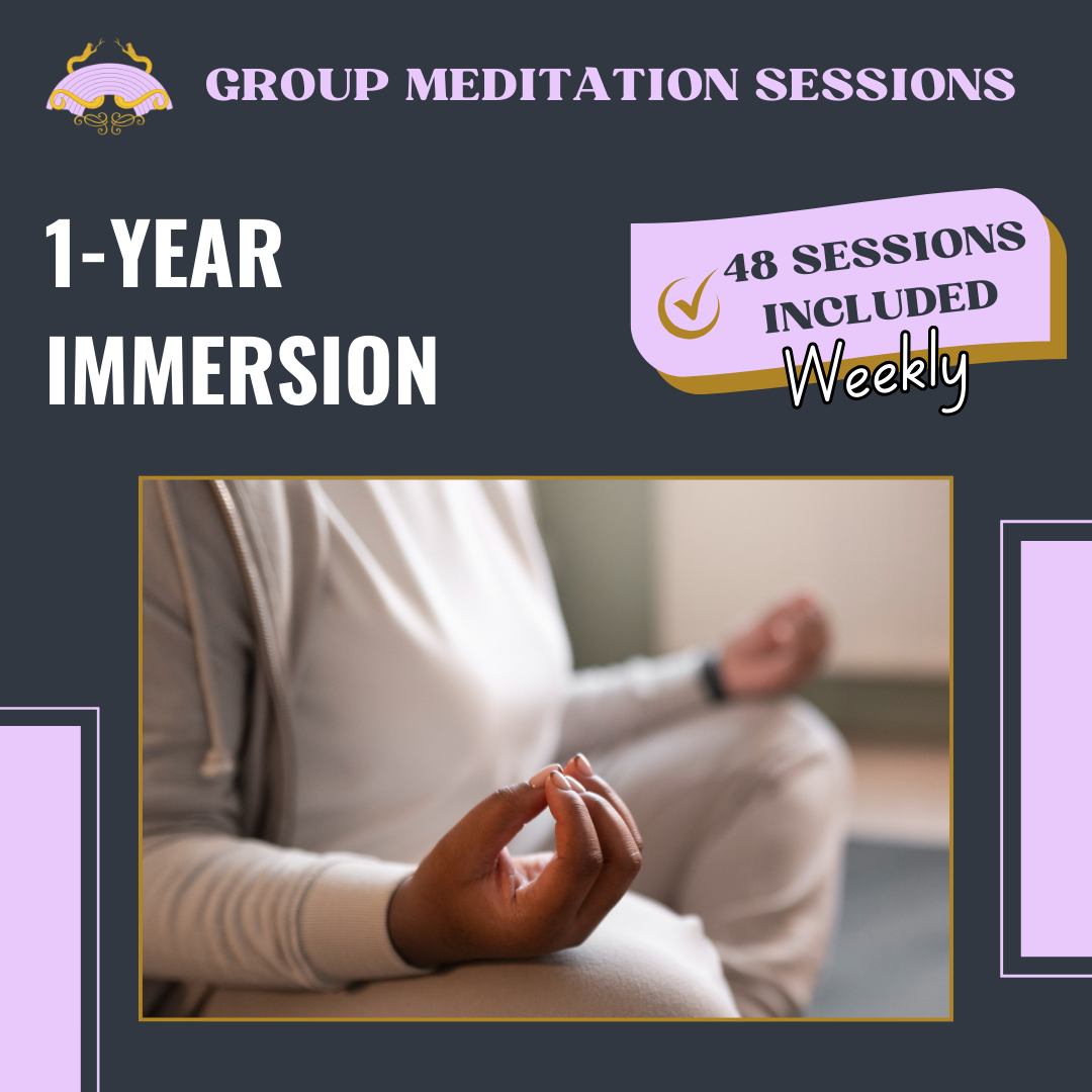1 Year Immersion - Group Meditation Sessions